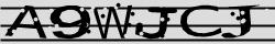 Retype the CAPTCHA code from the image